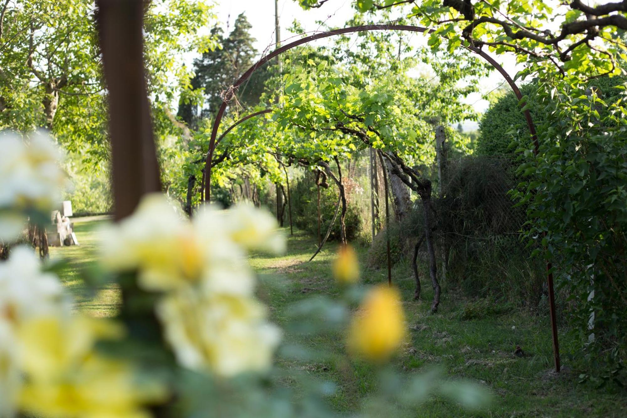 Villa Campo Di Fiore Arezzo Exteriör bild