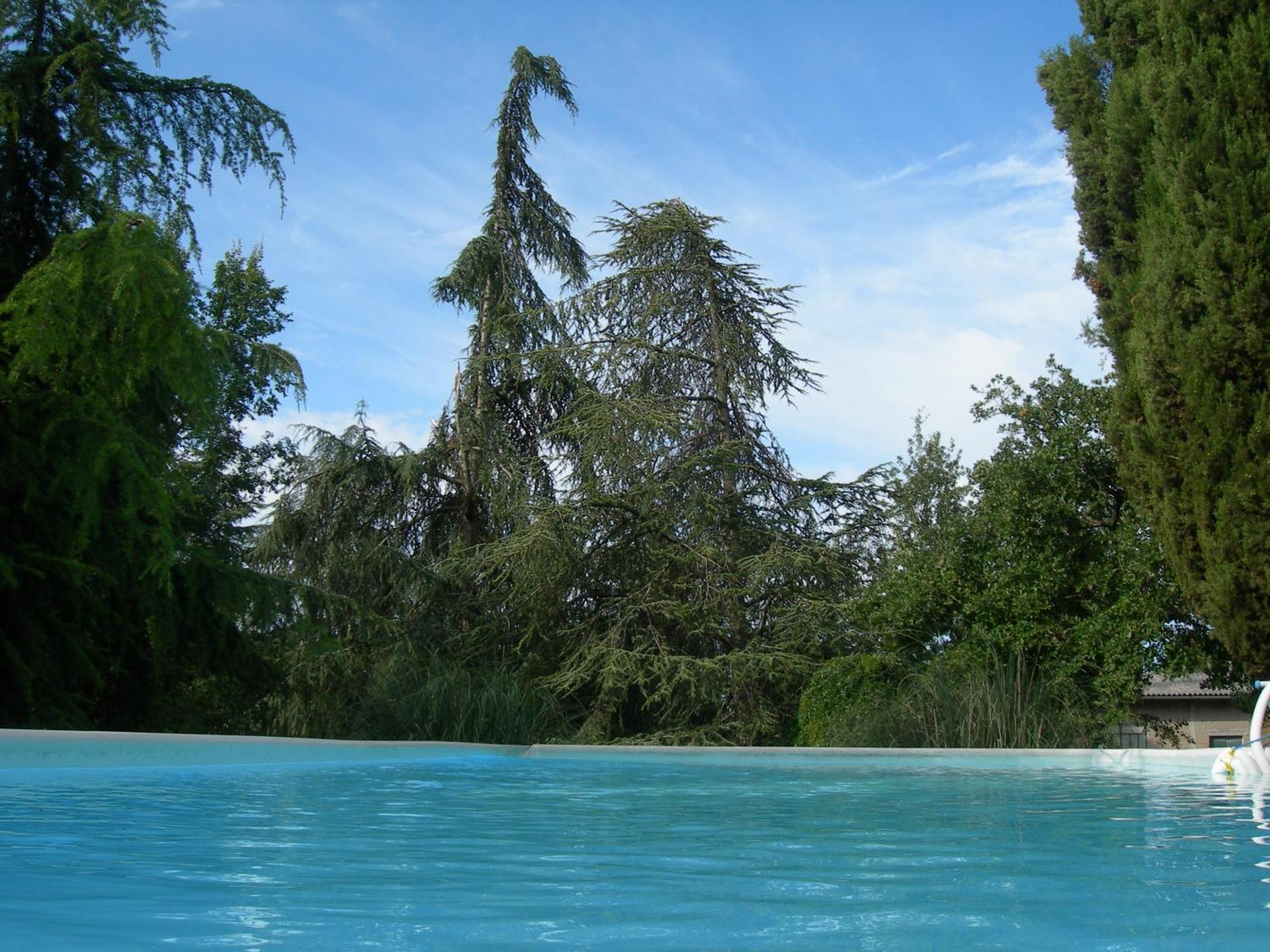 Villa Campo Di Fiore Arezzo Exteriör bild